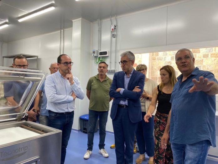 Visita guiada al nou obrador de peix Visita guiada al nou obrador de peix Palamós