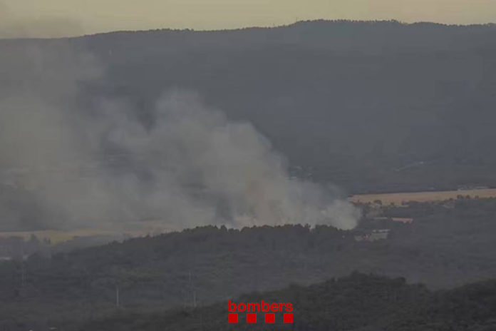 be282000-b044-4a60-872a-da1b10525bb7 Incendi Cruïlles