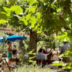 enoturisme tast de vins a mas molla