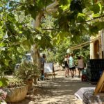 enoturisme tast de vins a mas molla