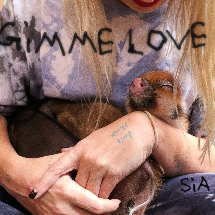 sia-anuncia-el-seu-retorn-amb-‘gimme-love’ sia-anuncia-el-seu-retorn-amb-‘gimme-love’