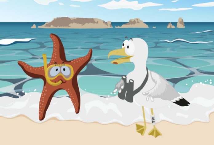 privat:-la-ruta-de-l’estar-i-en-tit-suma-un-mapa-del-tresor-i-un-conte-com-a-nous-recursos-pedagogics-per-coneixer-el-patrimoni-pesquer-i-natural-de-l’estartit privat:-la-ruta-de-l’estar-i-en-tit-suma-un-mapa-del-tresor-i-un-conte-com-a-nous-recursos-pedagogics-per-coneixer-el-patrimoni-pesquer-i-natural-de-l’estartit