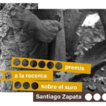 privat:-la-catedra-d’estudis-del-suro-convoca-els-premis-a-la-recerca-“santiago-zapata”-2023