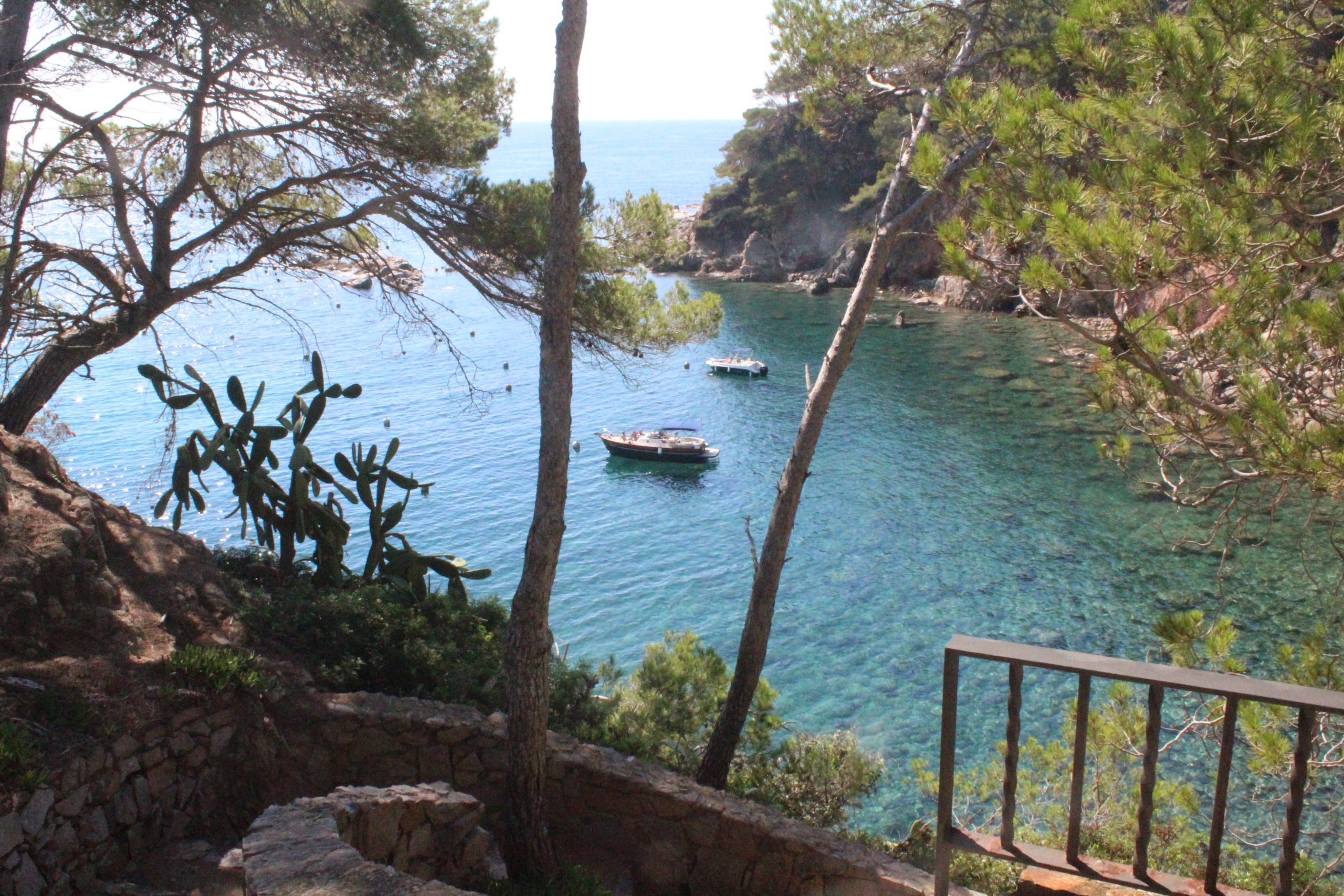Cala Sanià vista des de la finca