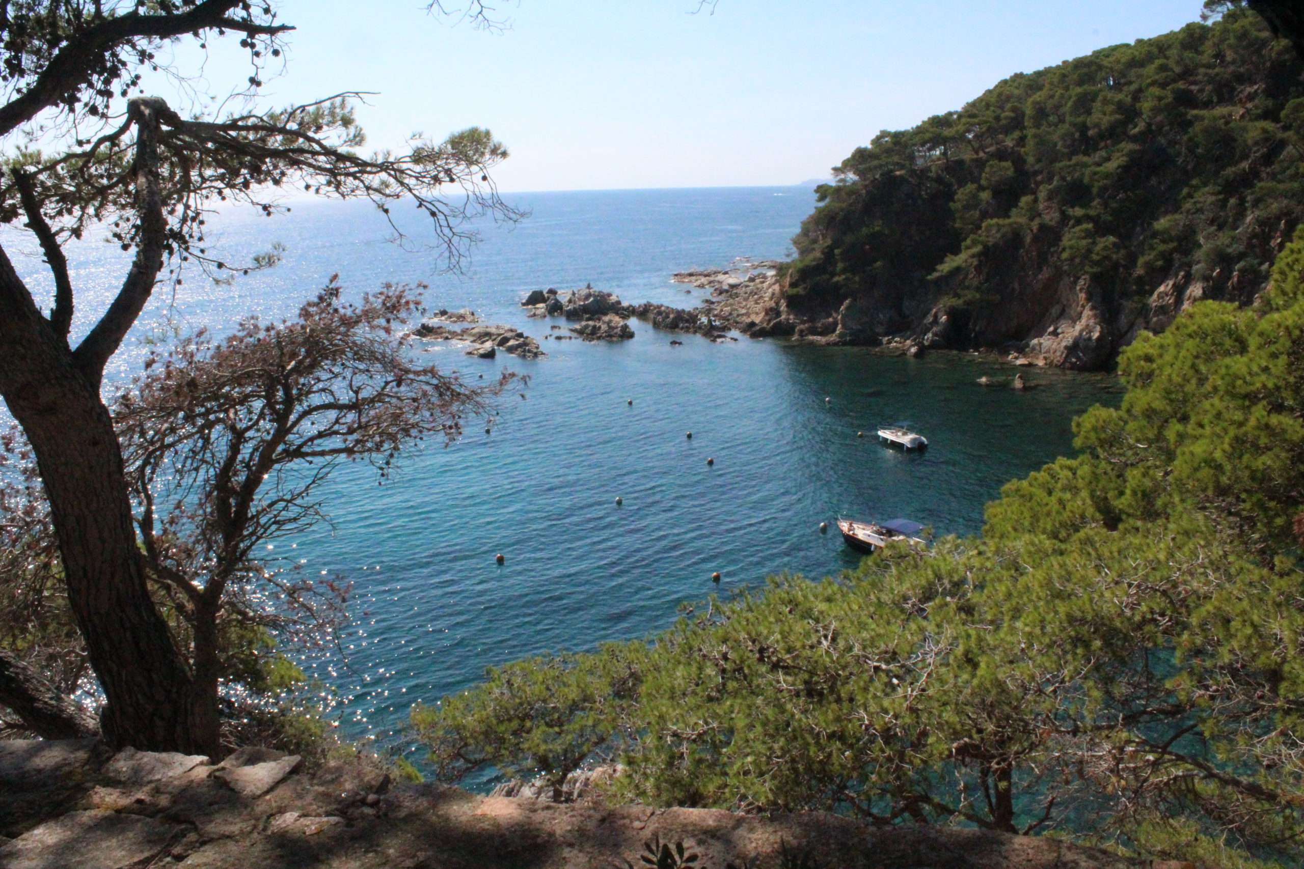 Cala Sanià vista des de la finca