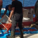 Restauradors pescaturisme