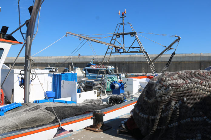 df6b4563-3307-4541-9777-7e75d033c806 pescadors veda sardina