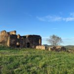 varwwwvhostsradiocapital.cathttpdocswp-contentuploads202309localimagesLes_Torretes_3.jpg