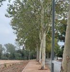 varwwwvhostsradiocapital.cathttpdocswp-contentuploads202309localimagesvorera16_-146×300.jpeg