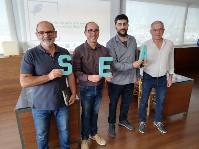 Estudi Peix promediterrània Estudi Peix promediterrània