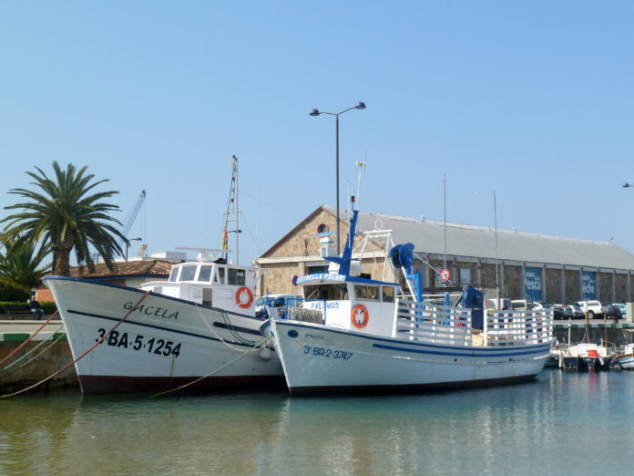 barques_peix_museu_pesca barques_peix_museu_pesca