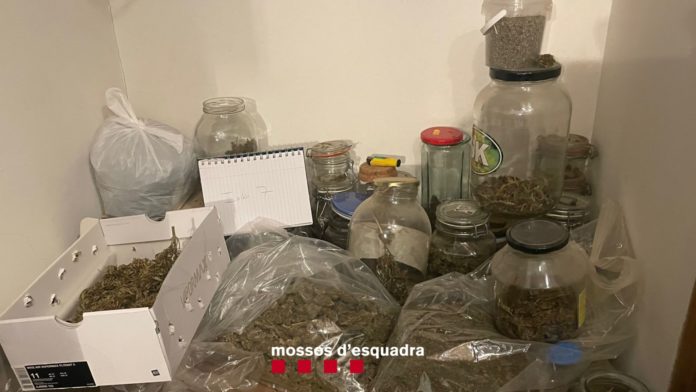 La Bisbal d'Empordà detencions marihuana
