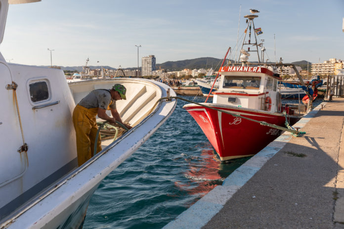 veda embarcacions de Palamós veda embarcacions de Palamós