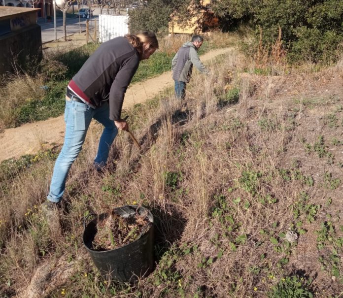 privat:-noves-actuacions-per-eliminar-flora-invasora-a-l’entorn-de-palafrugell privat:-noves-actuacions-per-eliminar-flora-invasora-a-l’entorn-de-palafrugell