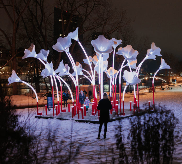 Brava Arts Weekend
