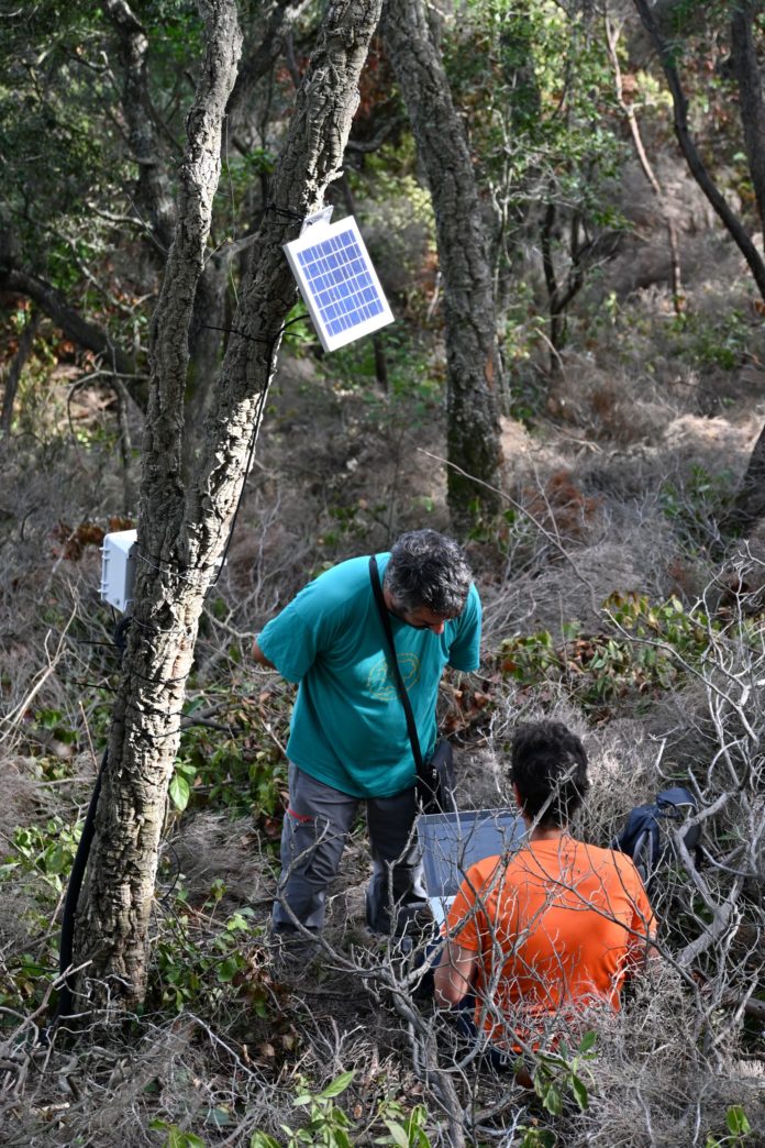 Xerrada Gestió Forestal