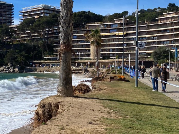 torrevalentina 1 Calonge i Sant Antoni temporal Nelson