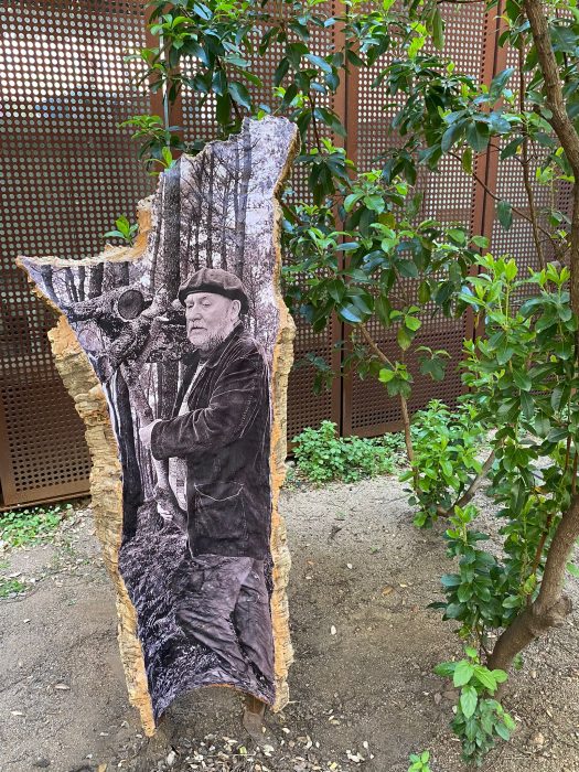 privat:-el-museu-del-suro-mostra-el-projecte-“bosc-i-memoria”-de-nuria-rossell