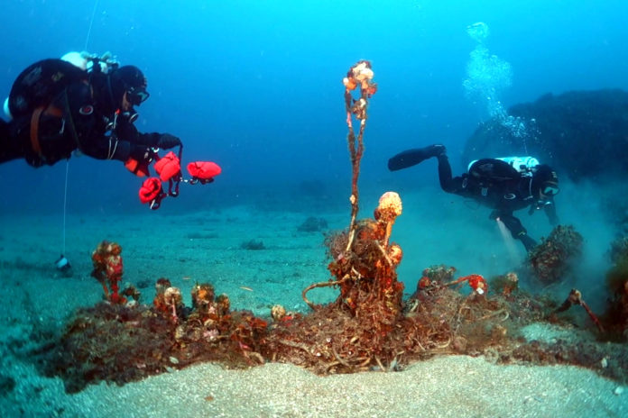 Dos submarinistes durant una operació per extreure una xarxa de pesca fantasma al fons marí Data de publicació: dissabte 13 d’abril del 2024, 08:12 Localització: Tossa de Mar Autor: Cedides per Blue Legacy / Ghost Diving Spain