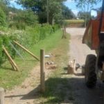 privat:-treballs-de-millora-i-manteniment-de-l’acces-al-cementiri-municipal-de-la-bisbal