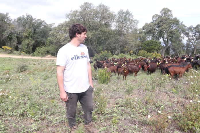 El Departament pagarà 400 euros per hectàrea