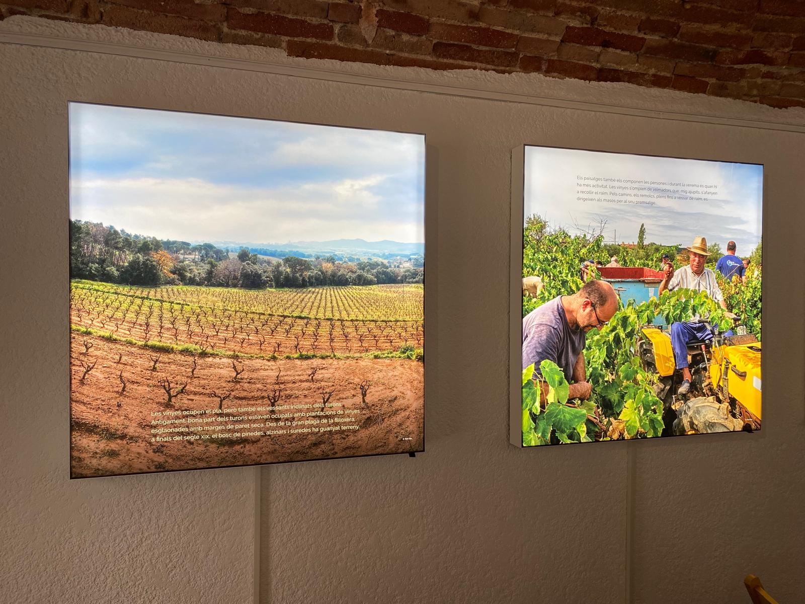 Part de l'exposició del Centre d'Interpretació del Vi de Calonge