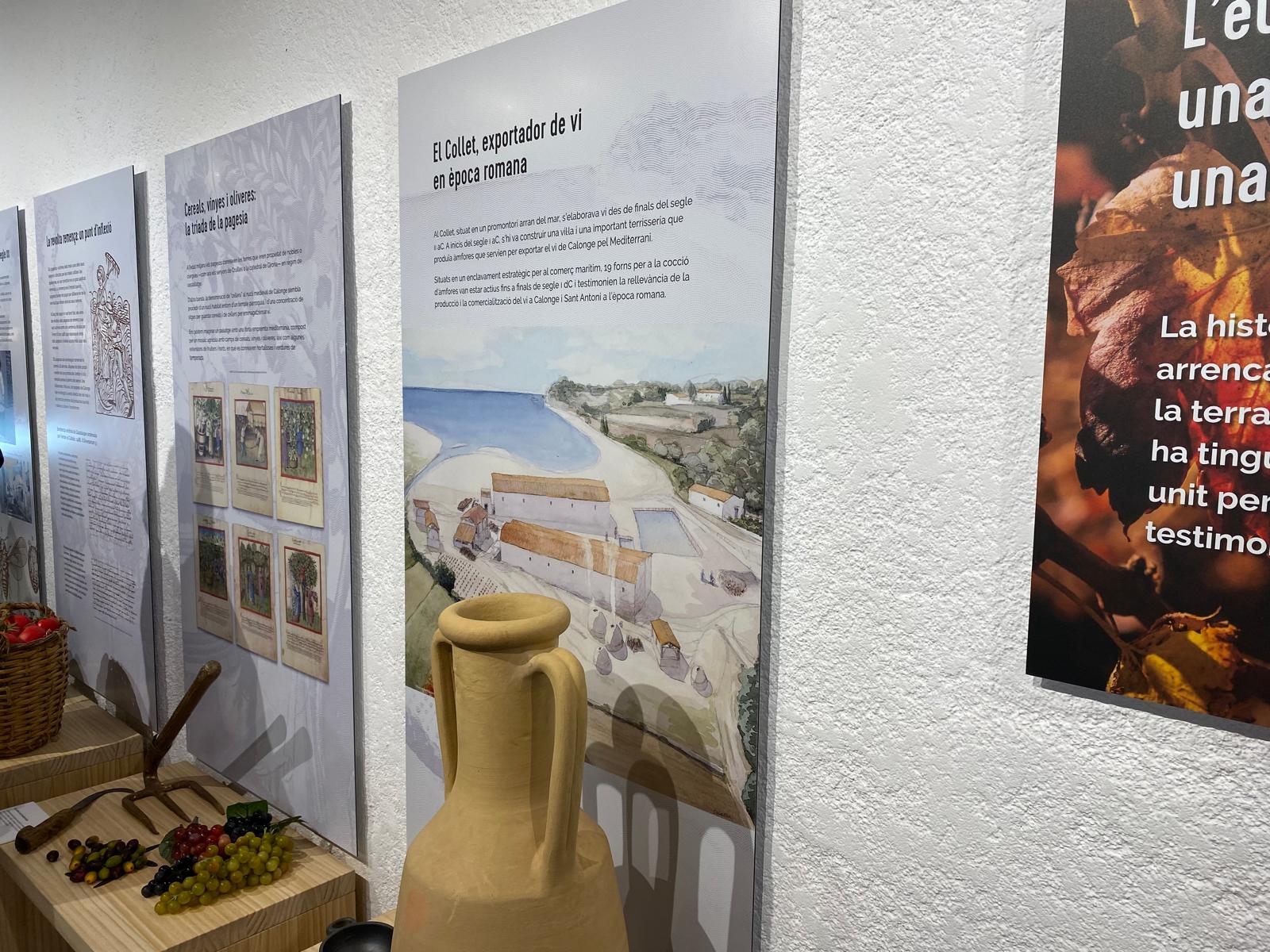 Part de l'exposició del Centre d'Interpretació del Vi de Calonge