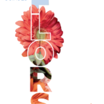 varwwwvhostsradiocapital.cathttpdocswp-contentuploads202405localimagesNova-edicio-de-Guixols-Flors.png