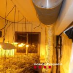 varwwwvhostsradiocapital.cathttpdocswp-contentuploads202405localimagesQuatre-detinguts-i-dos-cultius-de-marihuana-desmantellats-en-quinze-dies-a-Santa-Cristina-dAro.jpg