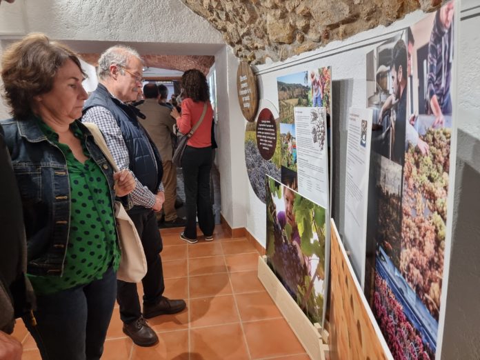 Obre al públic el nou Centre d'Interpretació del Vi de Calonge
