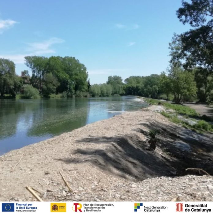 vista_lateral_assut_de_Colomers_riu_Ter_aigua
