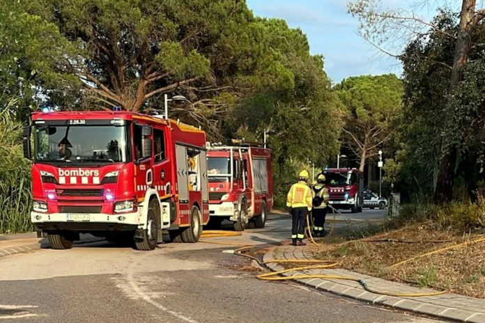 Efectius dels Bombers treballant en un dels dos incendis intencionats que es van declarar a Santa Cristina d'Aro Data de publicació: dimecres 17 de juliol del 2024, 15:15 Localització: Santa Cristina d'Aro Autor: Cedida per l'Ajuntament de Santa Cristina d'Aro Efectius dels Bombers treballant en un dels dos incendis intencionats que es van declarar a Santa Cristina d'Aro Data de publicació: dimecres 17 de juliol del 2024, 15:15 Localització: Santa Cristina d'Aro Autor: Cedida per l'Ajuntament de Santa Cristina d'Aro