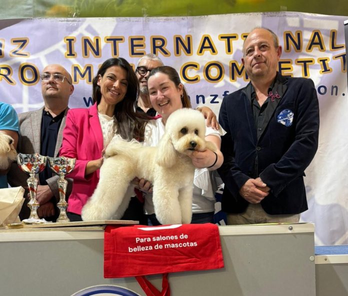 privat:-la-begurenca-claudia-caballero-competira-al-campionat-europeu-de-perruqueria-canina privat:-la-begurenca-claudia-caballero-competira-al-campionat-europeu-de-perruqueria-canina