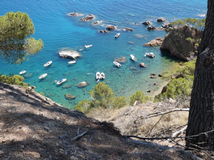 Cala vedell Mont-ras