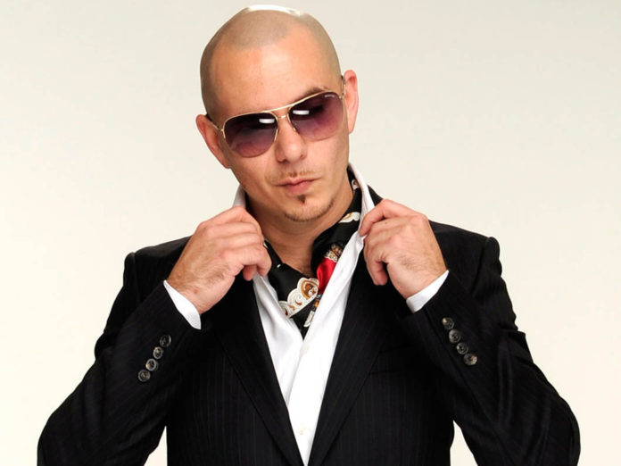 pitbull