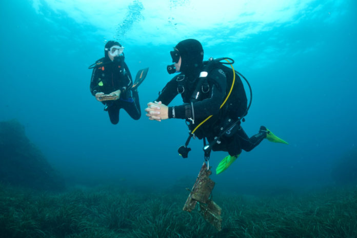 Dues persones fent una immersió a la Costa Brava Data de publicació: dissabte 24 d’agost del 2024, 07:00 Localització: Girona Autor: Imatge cedida a l'ACN per Costa Brava Sub Dues persones fent una immersió a la Costa Brava Data de publicació: dissabte 24 d’agost del 2024, 07:00 Localització: Girona Autor: Imatge cedida a l'ACN per Costa Brava Sub