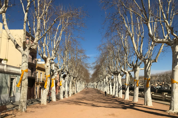 passeig-marimon-asprer
