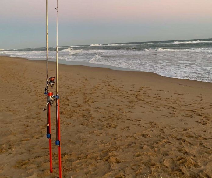 2421d14d-c7f9-406e-bd6b-f1ffc9749dab pesca recreativa