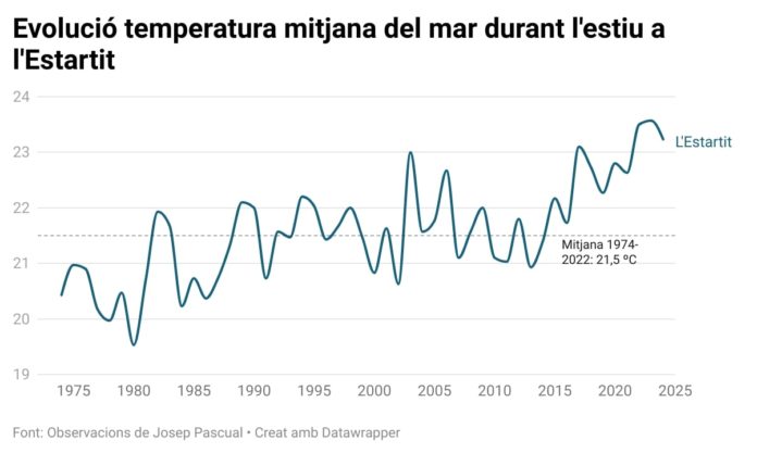 Evolució de la temperatura mitjana del mar durant l'estiu (juny a agost) a l'Estartit Data de publicació: dijous 12 de setembre del 2024, 04:00 Localització: Barcelona Autor: Pau Cortina