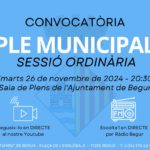 privat:-26-de-novembre:-ple-municipal-ordinari