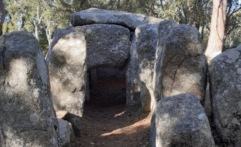 Cova d'en Daina Romanyà de la selva