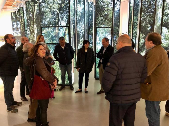 visita territoris suro