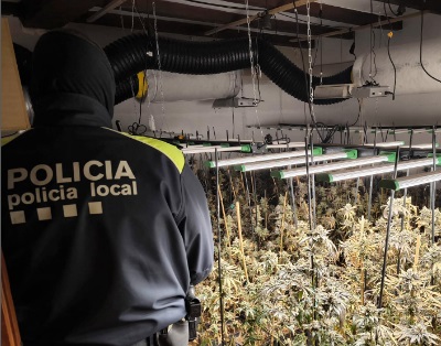 marihuana santa cristina d'aro marihuana santa cristina d'aro