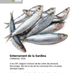 privat:-enterrament-de-la-sardina-carnaval-2025