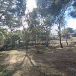 privat:-palafrugell-finalitzara-els-treballs-en-la-prevencio-d’incendis-forestals-al-municipi