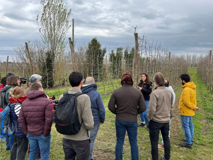 irta mas badia projecte carboni irta mas badia projecte carboni