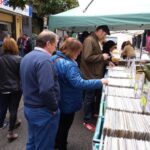 privat:-la-“mostra-del-disc-antic”-tindra-lloc-dissabte-als-jardins-de-l’1-d’octubre