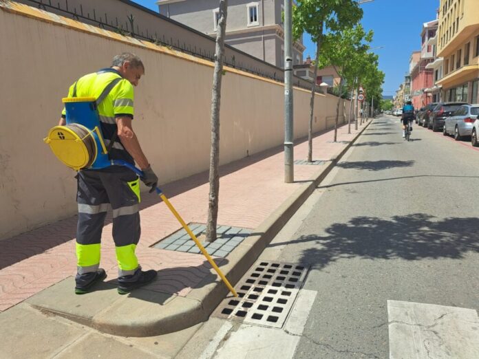 privat:-l’area-de-medi-ambient-implementa-mesures-complementaries-per-a-la-prevencio-del-mosquit-tigre