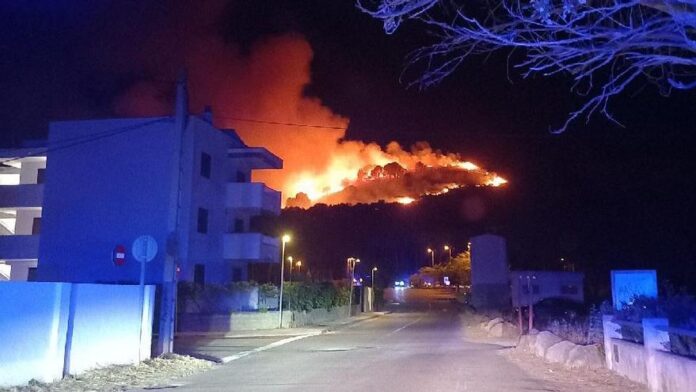 privat:-un-incendi-forestal-a-torroella-obliga-a-confinar-un-camping-i-un-hotel-a-montgo privat:-un-incendi-forestal-a-torroella-obliga-a-confinar-un-camping-i-un-hotel-a-montgo