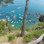 privat:-sos-costa-brava-denuncia-una-nova-ocupacio-massiva-i-fondejos-illegals-sobre-posidonia